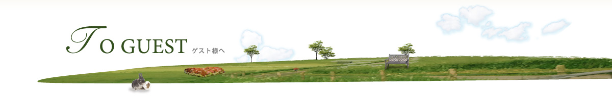 TO GUEST ゲスト様へ