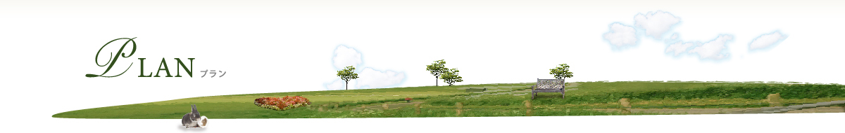PLANプラン