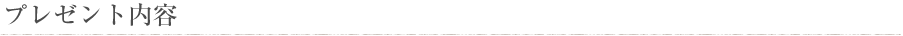 プラン内容